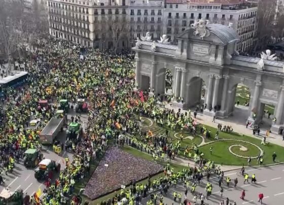 CNN Brasil