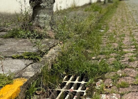 Manutenção urbana avança em Timbó com foco na limpeza e segurança