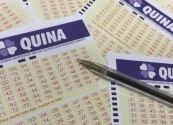 Veja os números sorteados no concurso 6637 da Quina, com prêmio de R$ 17,5 milhões