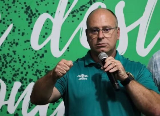 Alex Passos, presidente da Chapecoense (Foto: Carla Cenci/ACF)