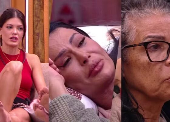 Top BBB 25 Quem ganhou e quem perdeu mais seguidores na semana