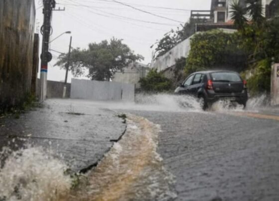 Temporais ganham força e SC entra em risco de alagamentos nesta nesta quarta-feira