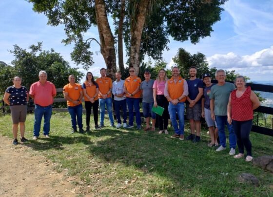 Misturebas News