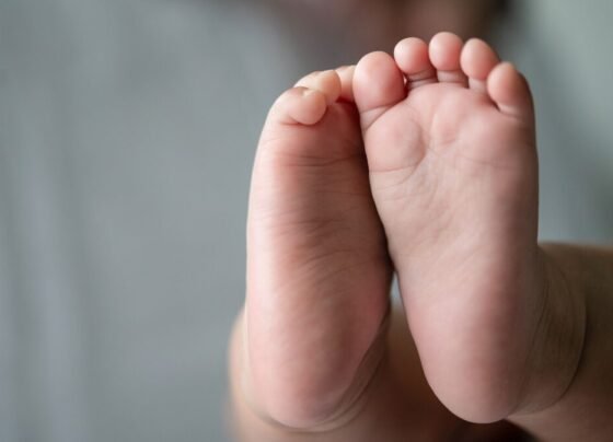 Bebê