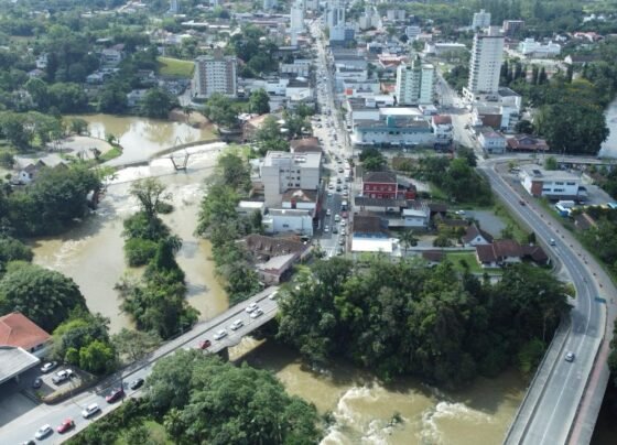 Misturebas News