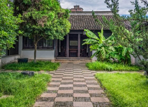 Do Feng Shui ao candomblé, entenda por que espada-de-são-jorge é considerada uma proteção natural para o lar