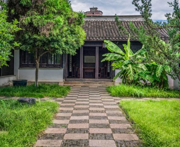 Do Feng Shui ao candomblé, entenda por que espada-de-são-jorge é considerada uma proteção natural para o lar