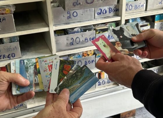 Coleção de cartões telefônicos vale R$ 15 mil, segundo o pai (Foto: Reginaldo de Castro, NSC TV Joinville)