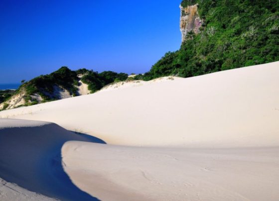 ComScore analytics tracking pixel