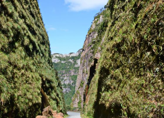 ComScore analytics tracking pixel