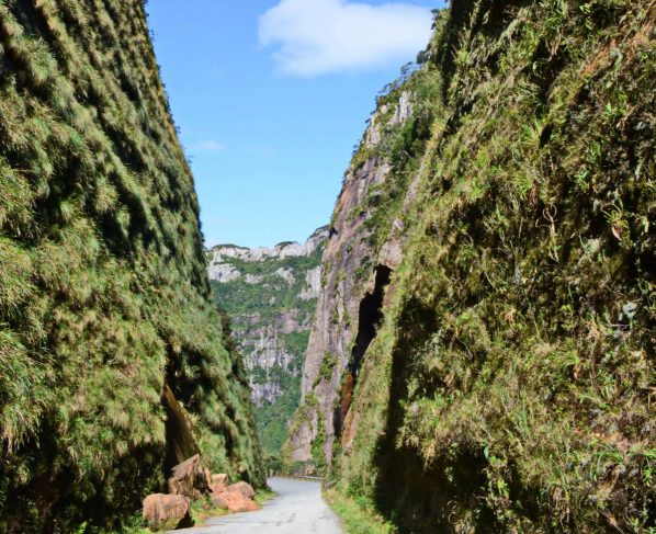 ComScore analytics tracking pixel