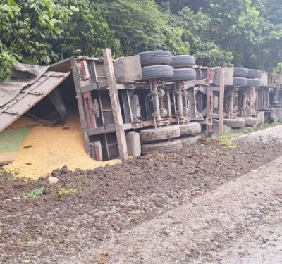Após ficar sem freios, caminhão tomba na Serra Dona Francisca