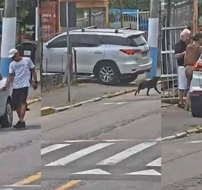 Câmera registra assalto em loja de Itapema cometido por criminosos