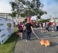 Cãominhada em Indaial