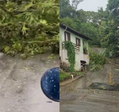Chuva derruba árvores em ruas do Águas Claras, em Brusque